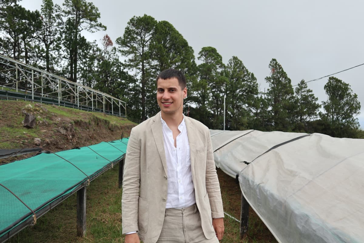 Fattoria del caffè a Panama