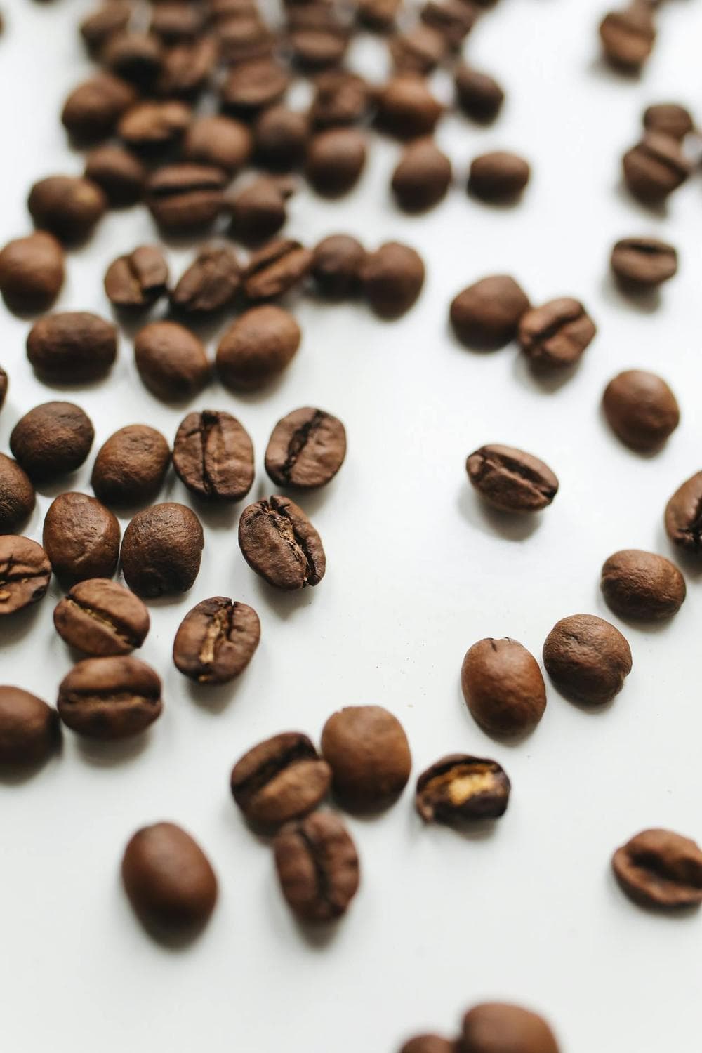 Peaberry: the round bean you keep hearing about