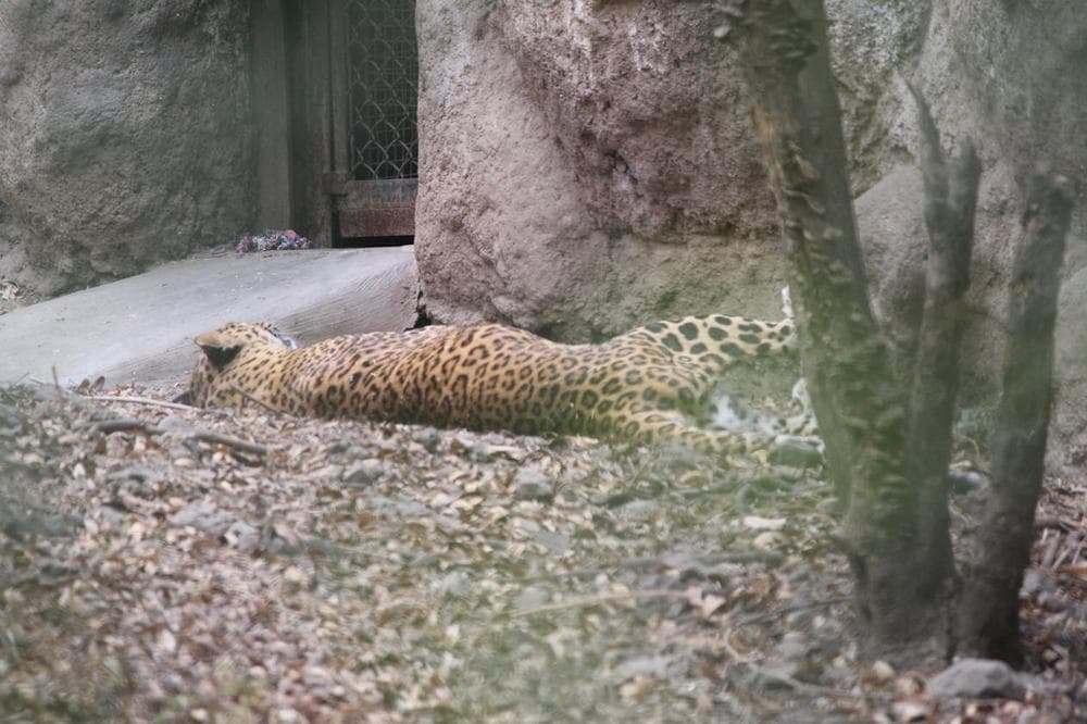 Perche l'acqua e il fattore piu importante del caffe