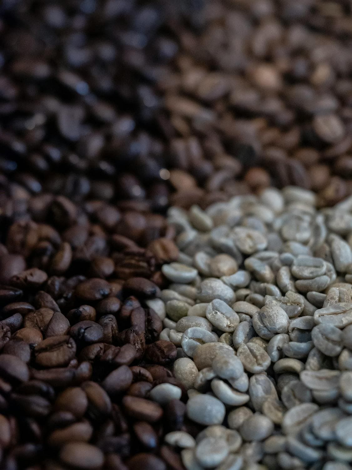 Livelli di Torrefazione Spiegati : Dal chiaro al scuro