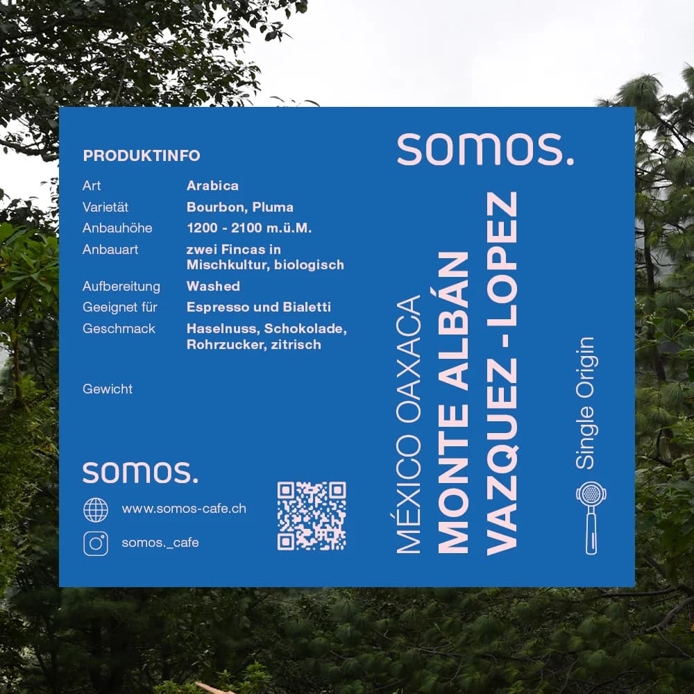 Monte Albán, Vazquez & Lopez - 1